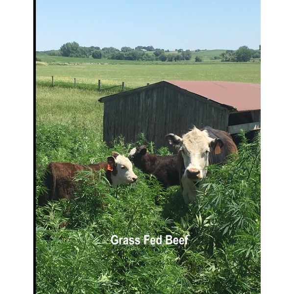 Grass Fed Beef