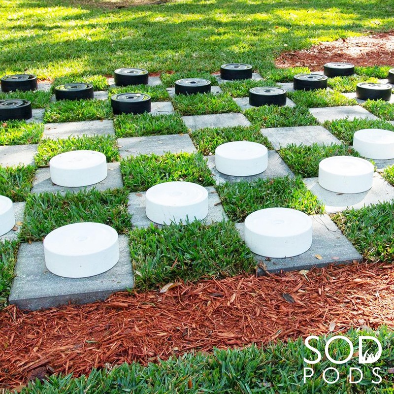 SodPods® St. Augustine CitraBlue Grass Plugs for Lawn Repair, 3"