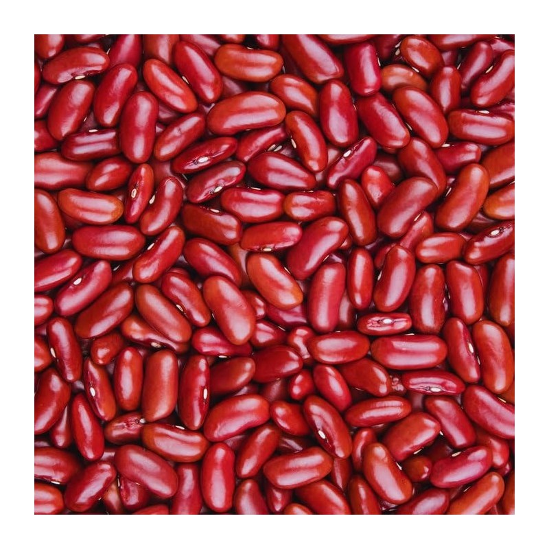 Simpli Beans Kidney Regenerative Organic 12.0 oz (Pack of 8)