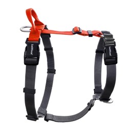 LufeLux Non-Restrictive Dog Harness, Easy Walk Freedom No Pull Harness, Keep Balance, Neck-Buckle, Six Points Adjustment, 2 Leash Clips for Back and Front Clip (Orange/Black, X-Small)