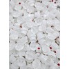 Pink Dot Caps - Wide - Spray Paint Caps Replacement