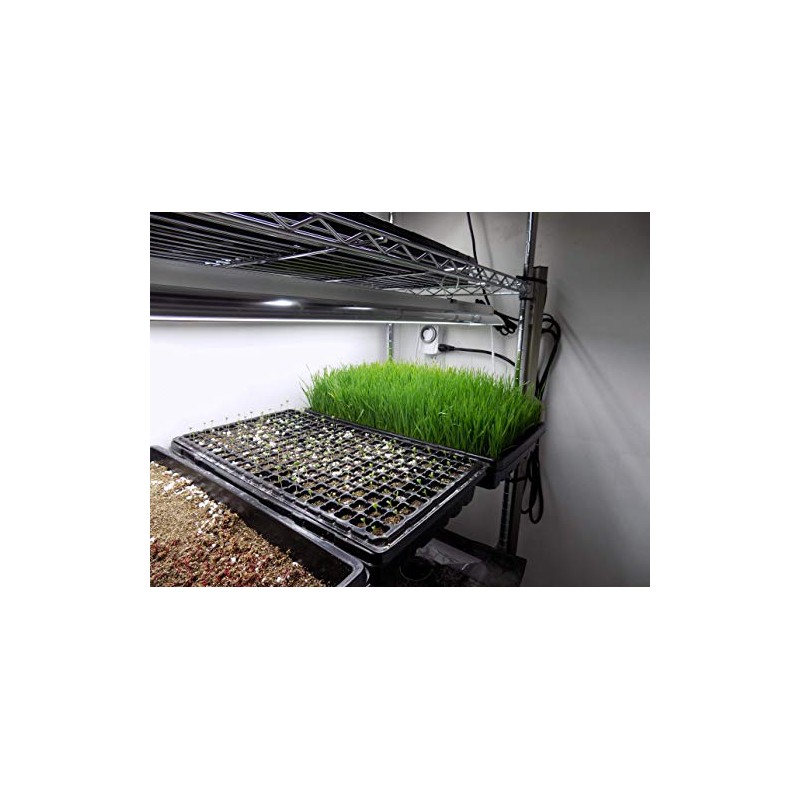 1020 Tray with Holes 30 Pack