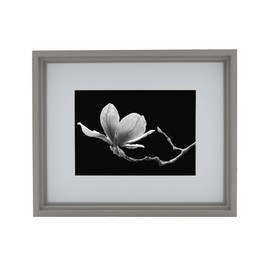 Towle Living Picture Frame Displays 5 x 7 Photos 8 x 10 Without Mat, 8x10-Matted 5x7, Gray