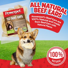 Powerpet Beef Ears for Dogs - Premium Quality Treats, Low Fat, High Protein, Long-Lasting Chews - Easy Digestion- Healthy & Clean Teeth & Gums - for All Breed Size- 100% Natural Cow Flavor, Pack of 25