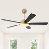 Black and Gold Ceiling Fans with Lights and Remote/APP, 52