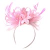 Caprilite Hoopmix Crinoline Flower Headband Fascinator for Women Wedding Ascot