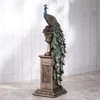 Veronese Design 13 5/8 Inch Peacock Perching On Column Vase
