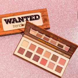 Wanted shadowpalette Creamy