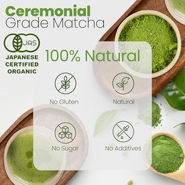 Eco Heed Matcha polvo de té verde grado ceremonia 40 g - USDA Organic  1st Harvest Premium Matcha de Uji - Matcha Wellness                            