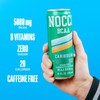 NOCCO Zero Sugar BCAA Drink, Caribbean- 12 Fl Oz (Pack