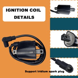 J38-82310-20-00 Ignition Coil &CDI Box &Voltage Regulator with Spark Plug For Yamaha Gas Golf Cart G9 1991-1995 Replace Part No. 99999-02368-00 BR5-ES000-04-00