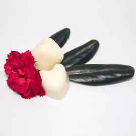 Nuestra Tierra Cosmética Ancestral Desmaquillante Sólido Orgánico Kit De 3pzas