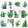Engrowtic 12 Pcs 8 x 10'' Green Plants Flower Pre