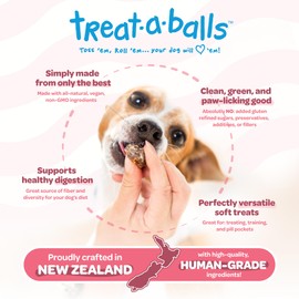 TREAT-A-BALLS Pumpkin Dog Treats with Cranberry & Apple - Healthy Dog Treats - Soft, Natural, Grain Free, Low Calorie, Gluten Free, Non-GMO, Clean & Nutritious Ingredients - 18pk