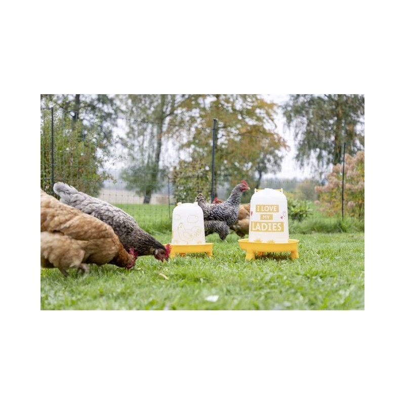 Kerbl Orange 3.0 Litre Plastic Feeder with Feet with Handle
