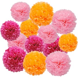 Pink and Orange Tissue Paper Pom Poms Hanging Party Pom Poms Decorations for Birthday Wedding（12pcs）