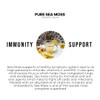 Generic Sea Moss Gel by Pure Sea Moss UK -