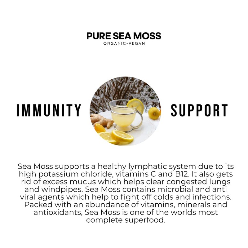 Generic Sea Moss Gel by Pure Sea Moss UK -