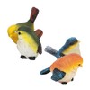 WPKD BLUEIY Pack of 4 Bird Statues Ornaments, Colourful Resin
