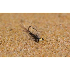 Region Fishing Tungsten Soft Hackle Pheasant Tail Jig Head Fly - Euro Nymph Tied on Hanak Hooks - 6ct Packs (Hook #14)