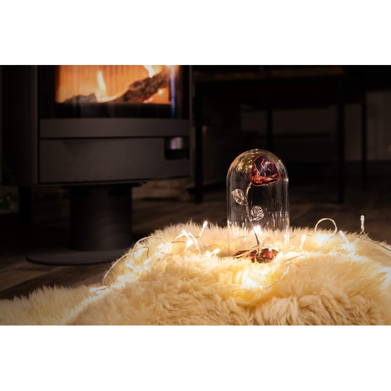 Iron Forge Eternal "Beauty and the Beast" Rose (Red/Silver)