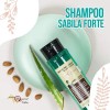 Shampoo Orgánico Para Hombre Anticaída Sábila Forte