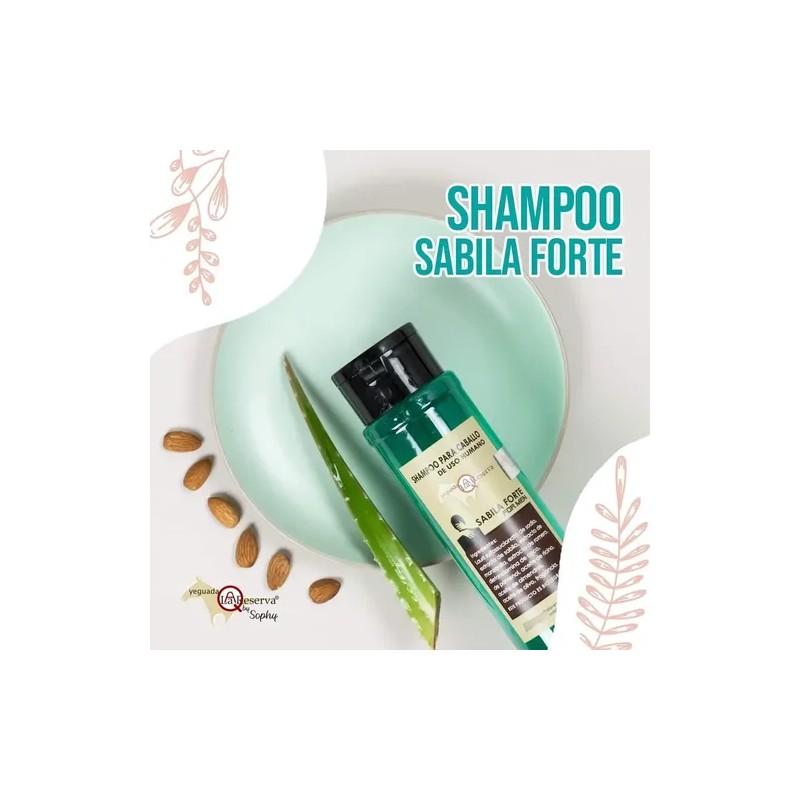 Shampoo Orgánico Para Hombre Anticaída Sábila Forte