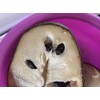 10 Cherimoya Seeds -Annona Cherimola