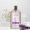 Everyday Aromatherapy Body Wash Duo | Eucalyptus Mint and Lavender