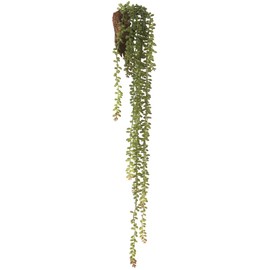 SilksAreForever 28" Donkey Tail Succulent Artificial Plant w/Wall Hanger -Green (Pack of 6)