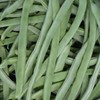 Bean Seeds - Pole - Yellow Bai Bu Lao -