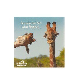 UK Greetings Birthday Card for Him/Her/Friend - Giraffe Design