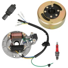 SHIQINHA 2 Coil Ignition Magneto Stator for Taotao Coolster 125cc 110cc ATV