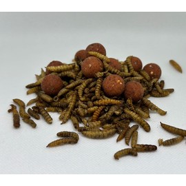 Zee Bug Wafters (Dumbell)