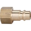 Schlauchnippel / NW 7.2-NW, 7.8 Untreated Brass Internal Thread 1