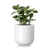 vancasso 6 Inch Ceramic Plant Pots, Planters with Drainage Hole,