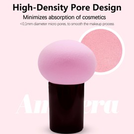 AmiCera Makeup Sponge, Beauty Blender 4 Pack Latex Free Beauty Makeup Powder Puff with Brush, Foundation Concealer for Liquid, Powders, Creams, with Beauty Blender Storage Case, Pink