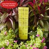 Taylor ClearVu Rain and Sprinkler Gauge, Measure and Monitor Precipitation,