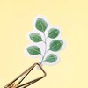 Doraking 45PCS Boxed DIY Decoration Green Leaves Adhesive Paper Stickers