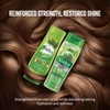 Vatika Naturals Cactus Shampoo & Conditioner Combo – Strengthens Weak