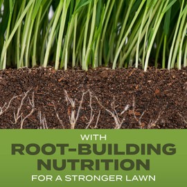Scotts Turf Builder Grass Seed Tall Fescue Mix with Fertilizer and Soil Improver, Resists Harsh Conditions, 5.6 lbs.