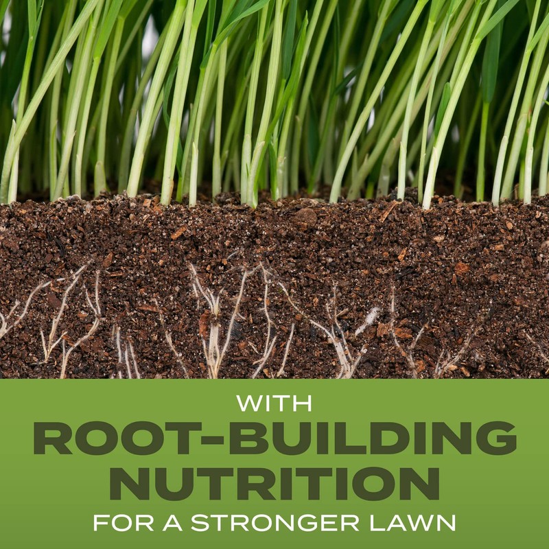 Scotts Turf Builder Grass Seed Tall Fescue Mix with Fertilizer