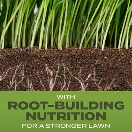 Scotts Turf Builder Grass Seed Tall Fescue Mix with Fertilizer and Soil Improver, Resists Harsh Conditions, 5.6 lbs.