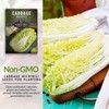 Survival Garden Seeds - Michihili Napa/Nappa Cabbage Seed for Planting