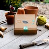Slug Rings Copper Snail Rings Starter Kit 3 x 10cm
