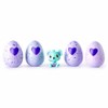 Hatchimals Colleggtibles 4 Pack + Bonus