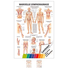 Sport-Tec Manual Lymphatic Drainage Mini Poster Anatomy 34 x 24 cm Medical Teaching Aid