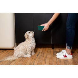 Waggo Ripple Ceramic Dog Bowl for Medium and Large Breeds - Modern with Matte Finish, Heavyweight Durable Pet Food and Water Dish Crock, Dishwasher Safe (Teal, Medium)