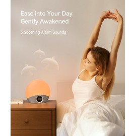 Dreamegg Nite 7 Light Alarm Clock Sunrise White Noise Machine with 30 Sounds, Wake Up Light Alarm Clock with 5 Alarm Tones and 8 Colours Night Light, Snooze Function Daylight Alarm Clock for Adults