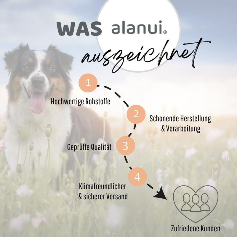alanui Reiskeimöl für Hunde, raffiniert, 250 ml Dosierflasche